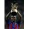 Liga 04/05 Barcelona-2 Mallorca-0