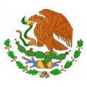 Liga Méxicana 2005 America-4 Nexaca-1