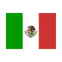 Liga Méxicana 2006 Monterrey-1 Morelia-0