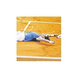 Final Ronald Garros 2006 Nadal-Federer