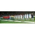 Clasf. Mundial 2010 España-1 Bosnia-0