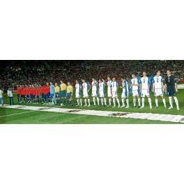 Clasf. Mundial 2010 España-1 Bosnia-0