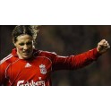 Los 10 primeros Goles de F.Torres con el Liverpool