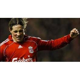 Los 10 primeros Goles de F.Torres con el Liverpool