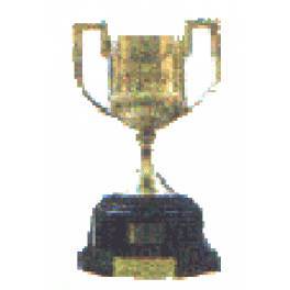 Final Copa del Rey 97/98 Barcelona-1 Mallorca-1