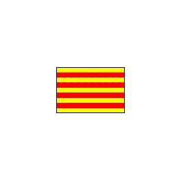 Final Copa Catalunya 92/93 Barcelona-4 Espanyol-3