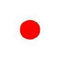 Liga Japonesa 2009 S. Hiroshima-2 Urawa Red-1