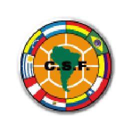Supercopa Libertadores 1993 Cruceiro-6 Colo Colo-1