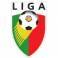 Liga Portuguesa 09/10 U.Leixoes-1 Sp.Braga-1