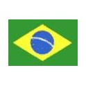 Copa Brasileña 2010 Votoraty-0 Gremio-1