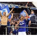 Copa Europa 10/11 Schalke 04-2 Inter-1