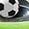 Resumen Temporada de Liga 10/11