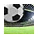 Final Total Cup 2011 Hamburgo-0 Borussia Doth.-2