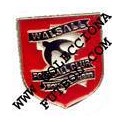Walsall F. C. (Inglaterra)
