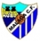 Goles Liga 11/12 Málaga