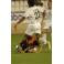 Liga 04/05 Albacete-0 Mallorca-0