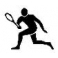 Roland Garros 2012 Nadal-David Ferrer