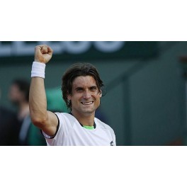 Roland Garros 2013 1/2 Ferrer-Tsonga