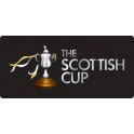 Final Copa Escocia 12/13 Celtic G.-3 Hibernian-0