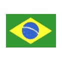 Copa Brasileña 2013 Internacional-3 America Mineiro-1