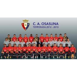 Goles Liga 12/13 Osasuna