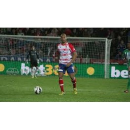 Goles Liga 12/13 Granada 