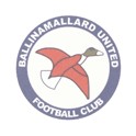 Ballinamallard United F. C. (Irlanda Norte)