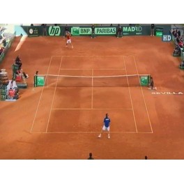 Final Copa Davis 2011 D.Ferrer-J.M. del Potro