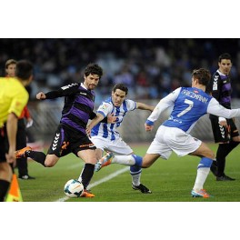 Liga 13/14 R.Sociedad-1 Valladolid-0