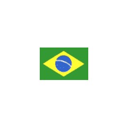 Copa Brasileña 2014 Gremio-0 Santos-2