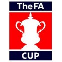 Cup 14/15 Reading-3 Bradford-0