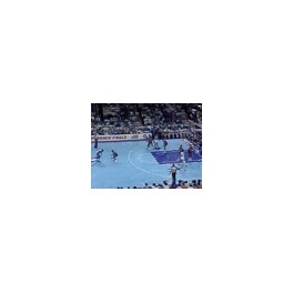 Final Conferencia Este 88/89 6ºpartido Chicago-94 Detroit-103 Final Conferencia Este 88/89 6ºpartido Chicago-94 Detroit-103