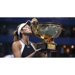 Final Abierto Beijing 2015 G. Muguruza - Timea Bacsinszky