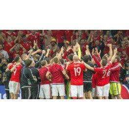 Eurocopa 2016 1/4 Gales-3 Belgica-1