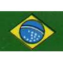 Copa Brasileña 2016 Santos-3 Gama-0