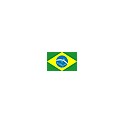 Copa Brasileña 2016 Santos-3 Vasgo Gama-0