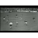 British Champions 1969 Gales-3 Escocia-5