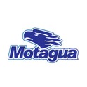 C. D. Motagua (Honduras)