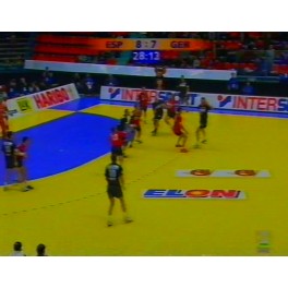 Europeo 2002 2ªfase España-18 Alemania-19