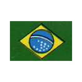 Copa Brasileña 2017 Santa Cruz-0 At. Paraenense-0
