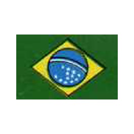 Copa Brasileña 2017 Palmeiras-1 Internacional-0