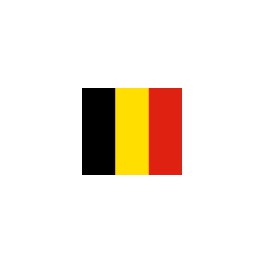 Final Supercopa Belga 2017 Anderlecht-2 Zulte Waregem-1