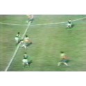 Amistoso 1982 Brasil-6 Rep. Irlanda-0