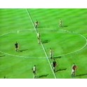 Liga Inglesa 89/90 Man. Utd-4 Arsenal-1