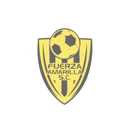 Fuerza Amarilla S.C. (Ecuador)