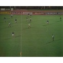 Clasf. Eurocopa 1980 Austria-3 Escocia-2