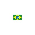 Copa Brasileña 2018 Avai-1 Fluminense-0