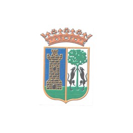 Goian F. C. (Goian-Tomiño-Pontevedra)