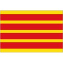 Final Copa Catalunya 2019 Barcelona-0 Girona-1