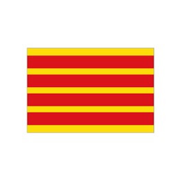 Final Copa Catalunya 2019 Barcelona-0 Girona-1